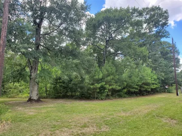 Willis, TX 77378,00 Brandon LN