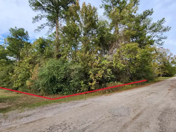 Onalaska, TX 77360,0 James ST