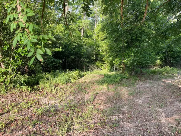 Livingston, TX 77351,TBD Snell RD