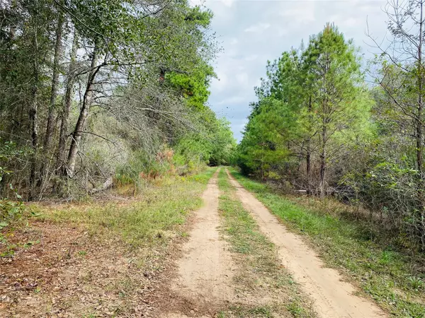 LOT 44 OWL DR,  Hempstead,  TX 77445