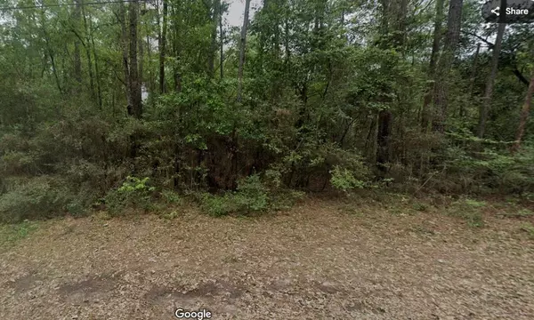 Conroe, TX 77306,15636 Woodman Rd