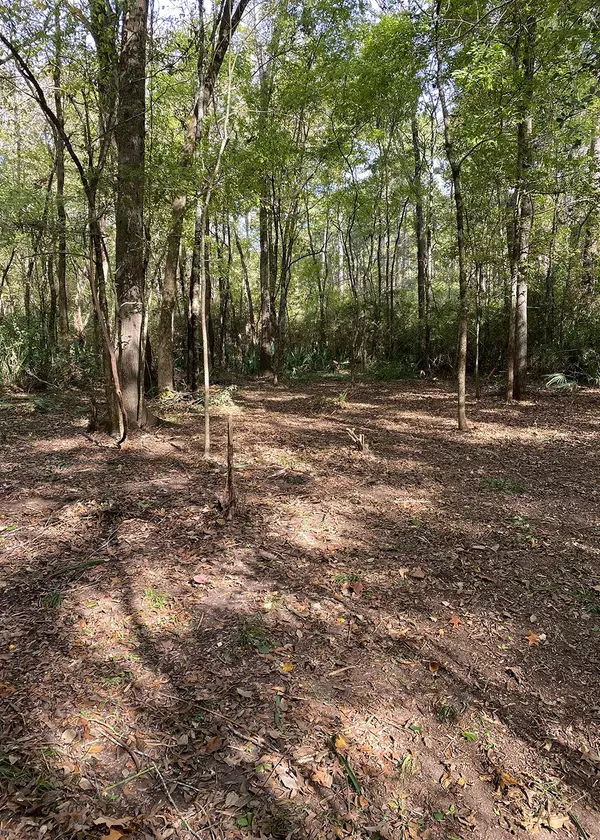 Coldspring, TX 77331,000 Northwest DR