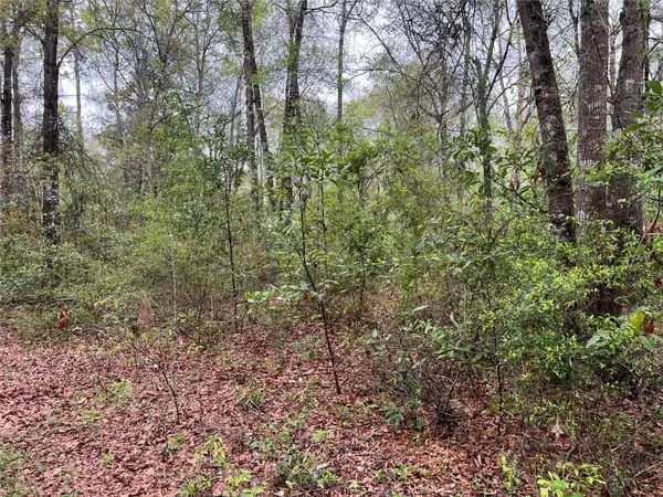 Livingston, TX 77351,TBD Farm Road 943
