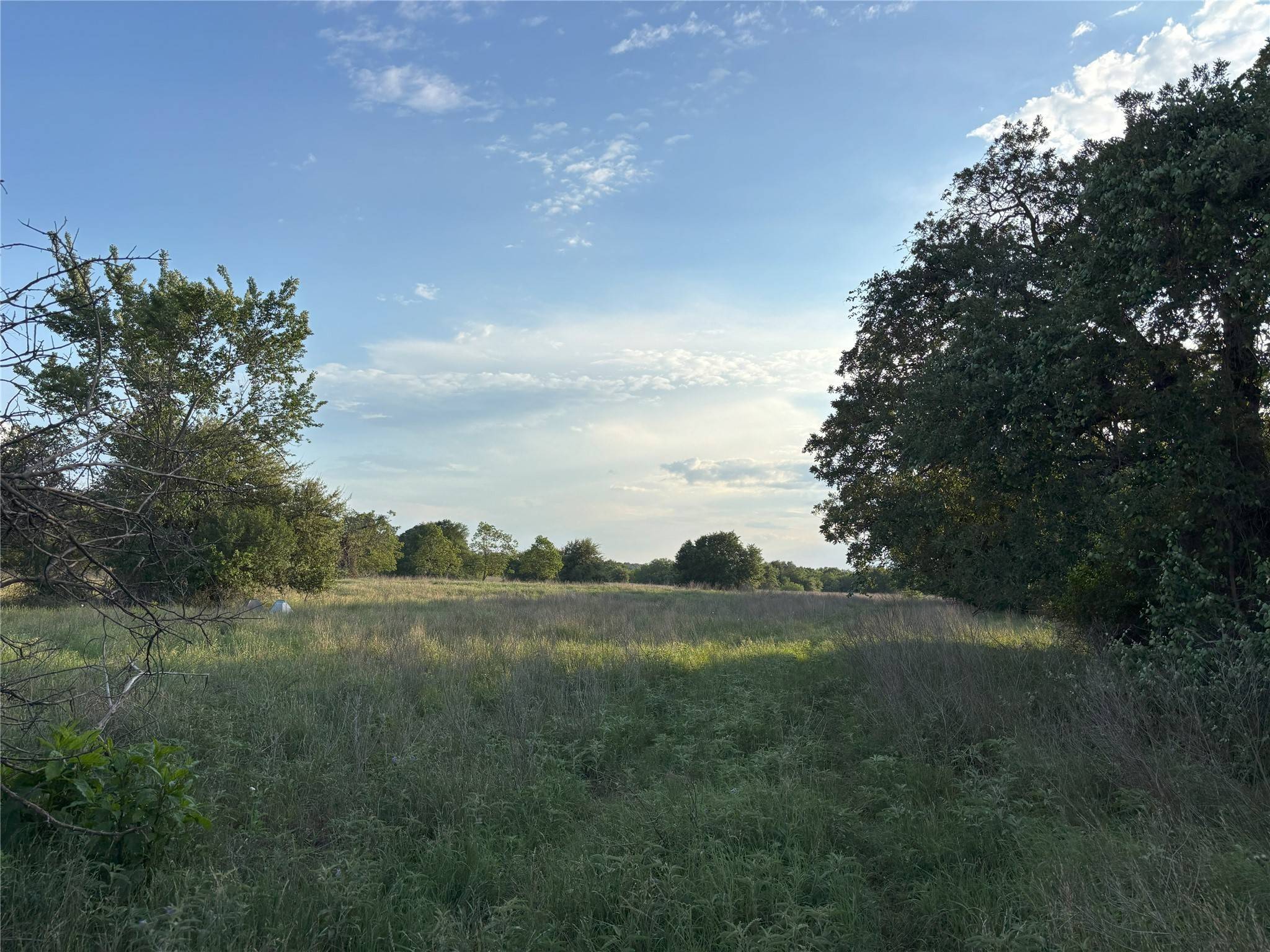 TBD CR 302, Rockdale, TX 76567