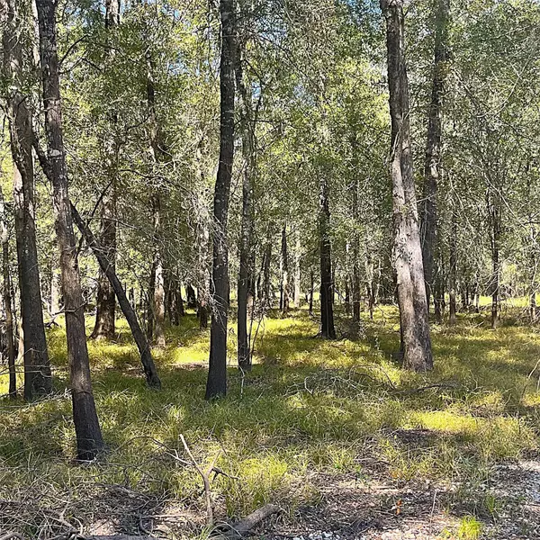 Centerville, TX 75833,8106 Pr 1235