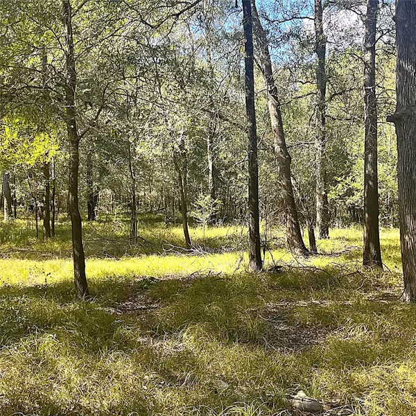 Centerville, TX 75833,8106 Pr 1235