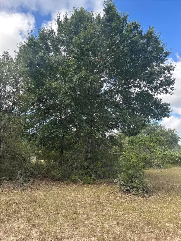 Sheridan, TX 77475,TBD CR 273 RD
