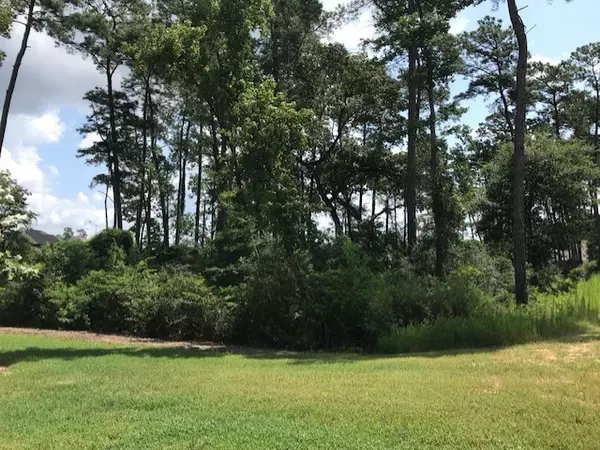 Pinehurst, TX 77362,821 Walnut Park LN