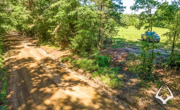 Timpson, TX 75975,TBD County Road 4849
