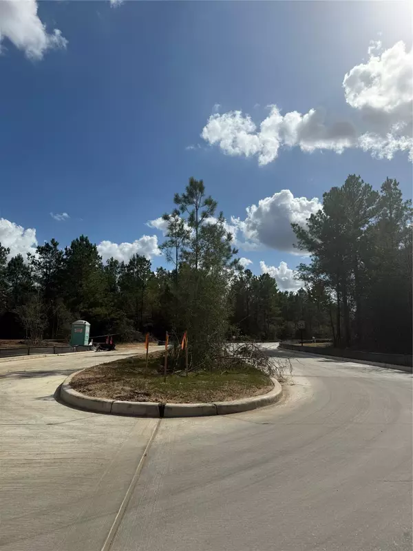 Montgomery, TX 77316,26751 Alderbrook AVE