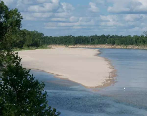 Cleveland, TX 77327,41 Dollar Ct