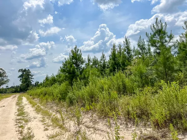 Browndell, TX 75931,5 Rec Road 255