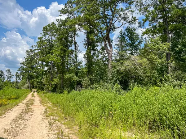 Browndell, TX 75931,5 Rec Road 255