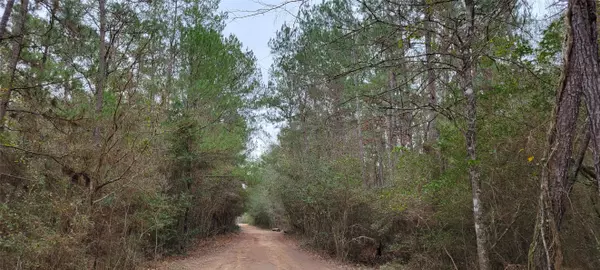 Plantersville, TX 77363,TBD Sycamore LN