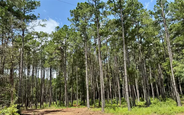 Wells, TX 75976,TBD CR 2626