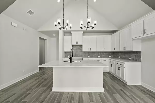 Hockley, TX 77447,27114 Prairie Blazingstar WAY