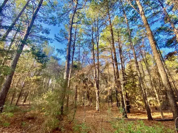 Kennard, TX 75835,TBD CR 1190