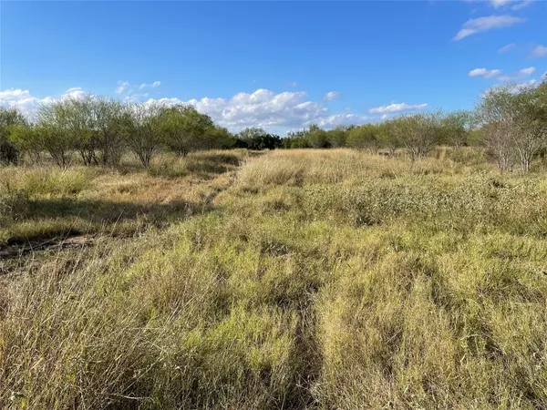 Beeville, TX 78102,TRACT 12 County Road 409