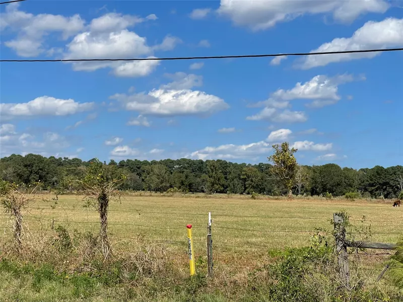 20386 FM 2854, Montgomery, TX 77356