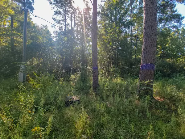 Huntsville, TX 77320,30 Jeffery Drive