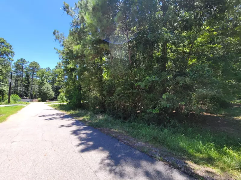 0 Hickory DR, Montgomery, TX 77356