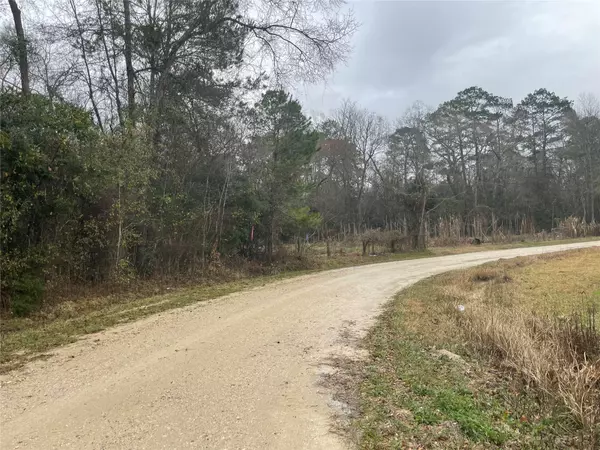 Shepherd, TX 77371,0 Robin Hood DR