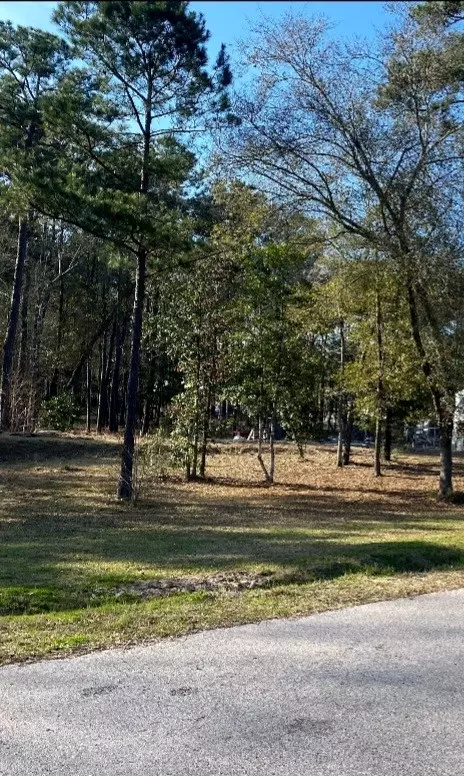 New Caney, TX 77357,23859 Mydas Fly LN