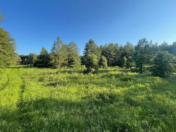 Apple Springs, TX 75926,unknown Willis RD