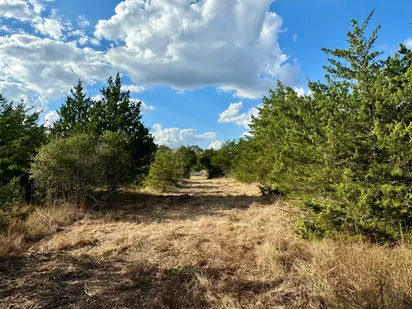 Bellville, TX 77418,680 Skyview RD