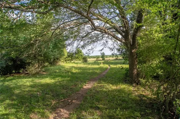 Calvert, TX 77837,9525 S Hickory Loop County Road