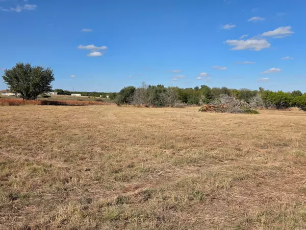Briggs, TX 78608,TBD Avila Ln