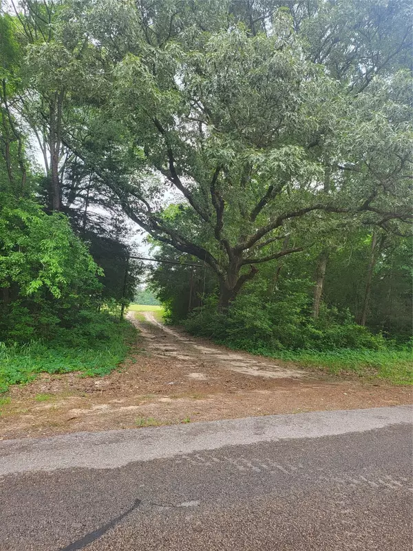 Grapeland, TX 75844,FM 227W TBD and HayesSpring
