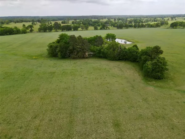 Richards, TX 77873,5 County Rd 236