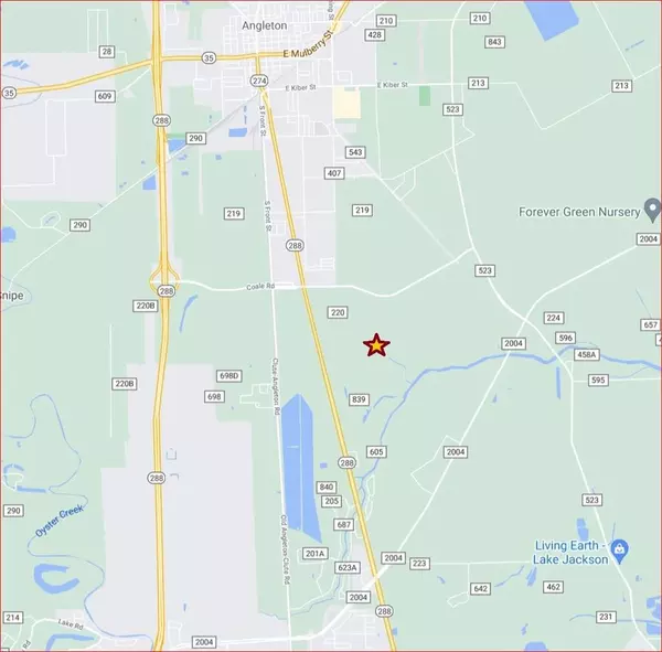 Angleton, TX 77515,0 County Road 220/ Airport Rd at 288 B