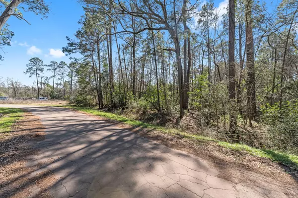 New Caney, TX 77357,0 Hunters Trail