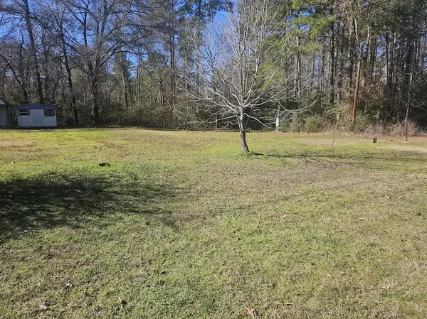 Livingston, TX 77351,2075 Mangum RD