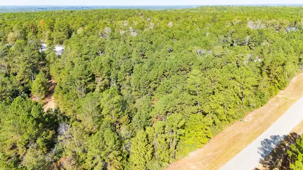 Willis, TX 77378,15665 Fire Sky RD