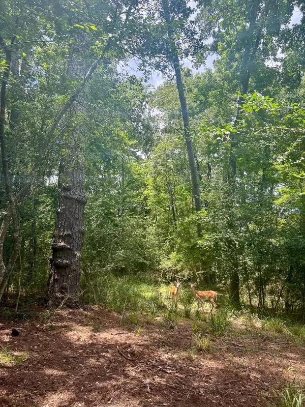 Huntsville, TX 77340,912 Inwood Drive