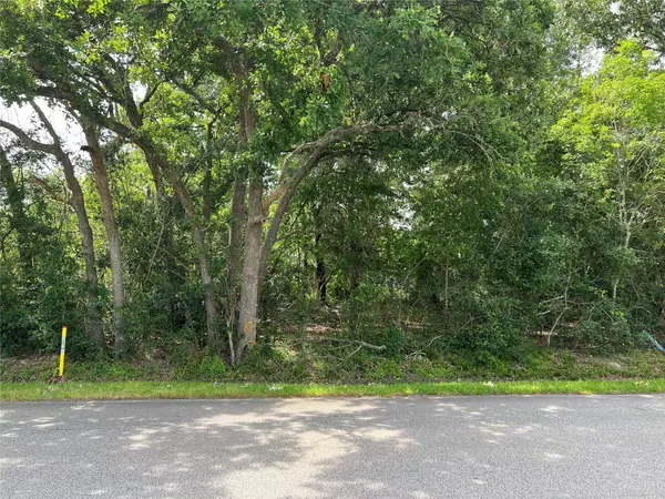 0 Red Bluff RD,  Seabrook,  TX 77586