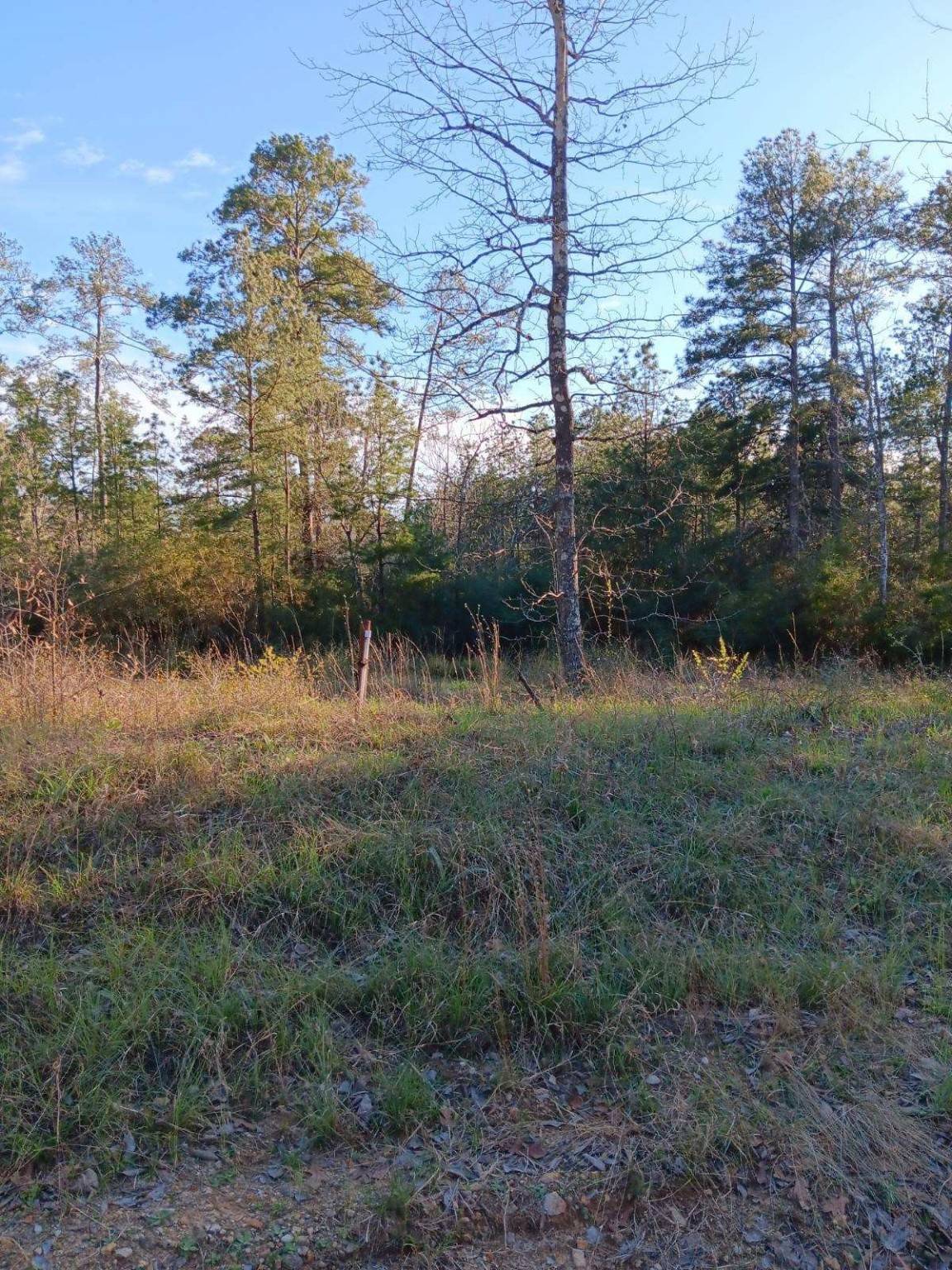 485 Sir Henry,  Woodville,  TX 75979