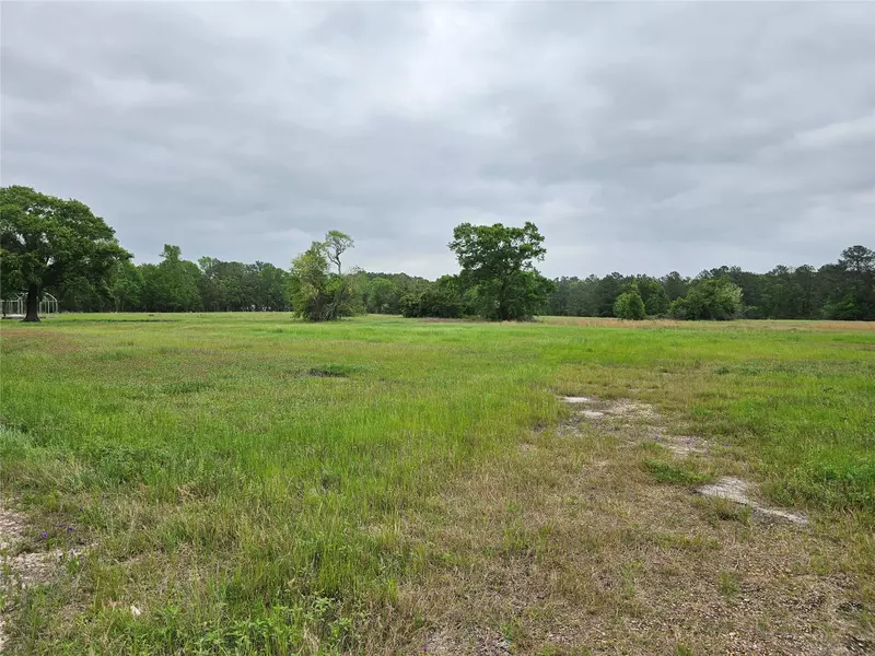 18995 FM 1484 Road, Conroe, TX 77303