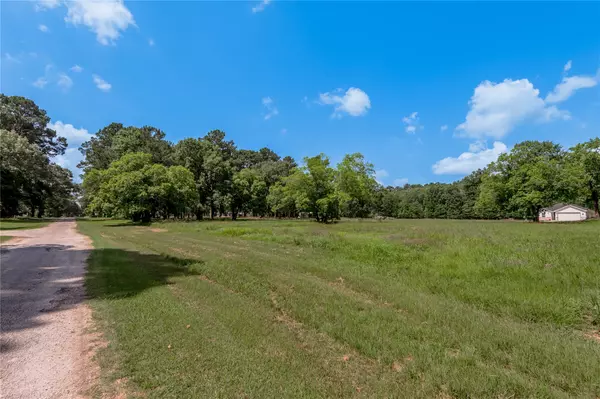 Lot 14 Hermitage ST, Trinity, TX 75862