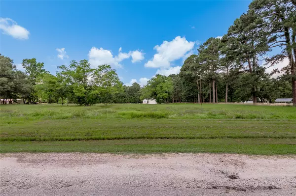 Trinity, TX 75862,Lot 14 Hermitage ST
