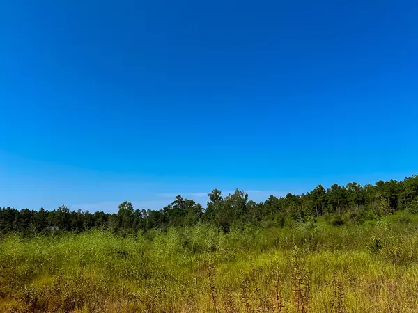 Woodville, TX 75979,0 Hwy 190