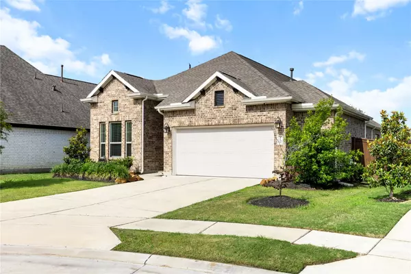 Iowa Colony, TX 77583,9110 Eckert RD