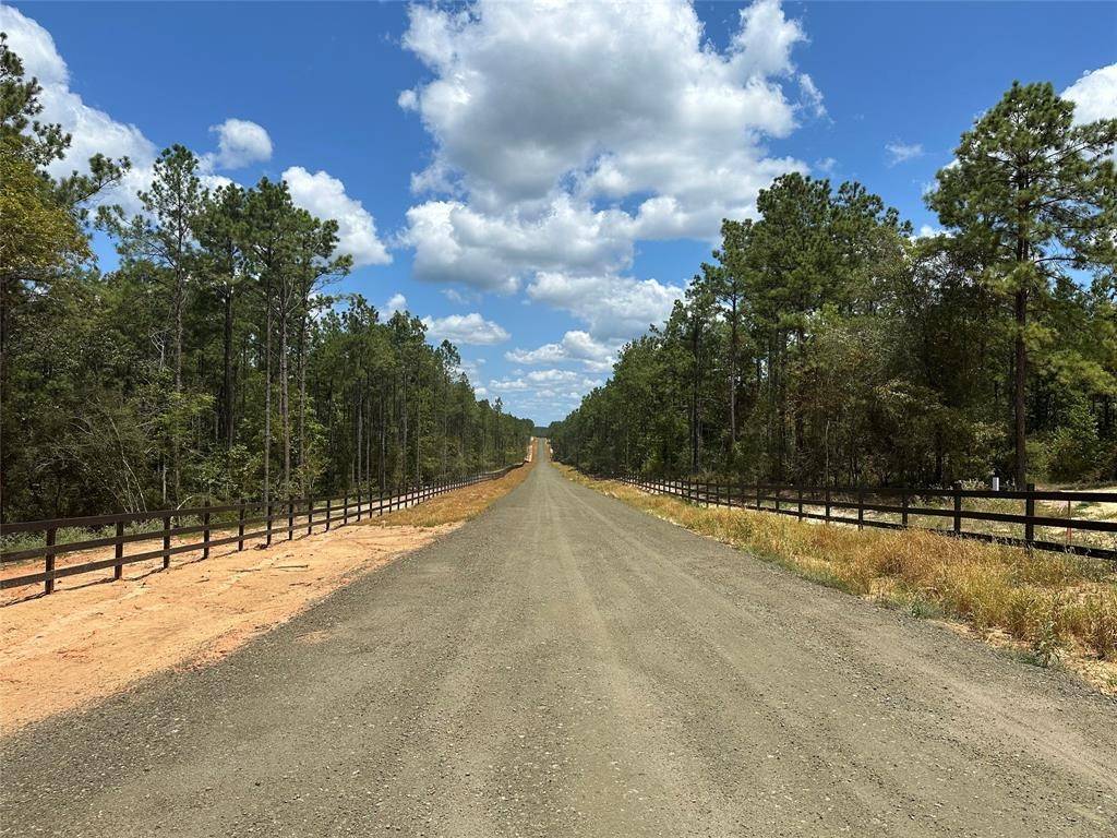 Woodville, TX 75979,Tract 7B Timberland Branch DR