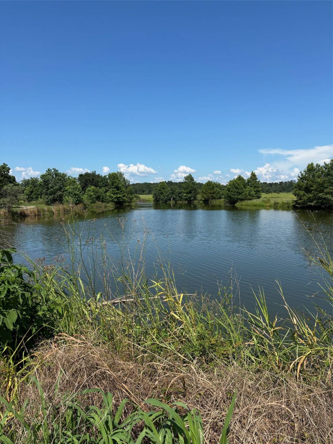 585 Industrial Park BLVD, Trinity, TX 75862