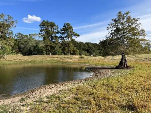 Navasota, TX 77868,6113 County Road 344