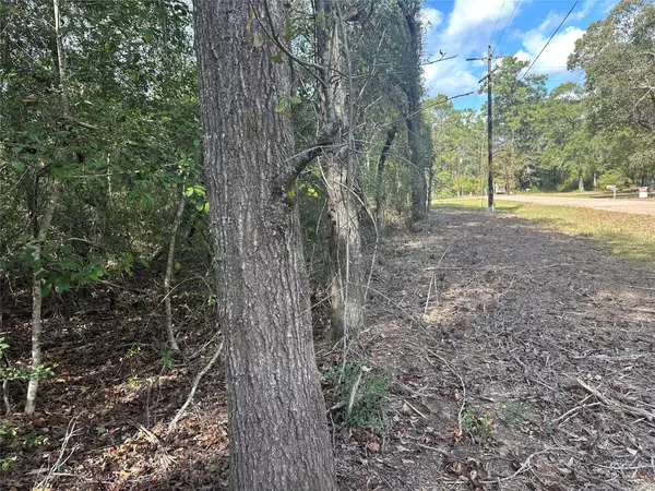 Cleveland, TX 77327,TBD Little Pine Valley RD