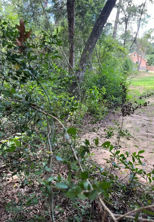 Willis, TX 77378,12147 Mustang Avenue